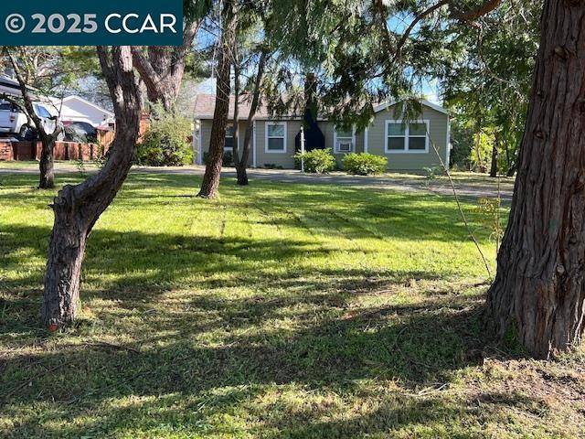 Walnut Creek, CA 94597,1651 2Nd Ave