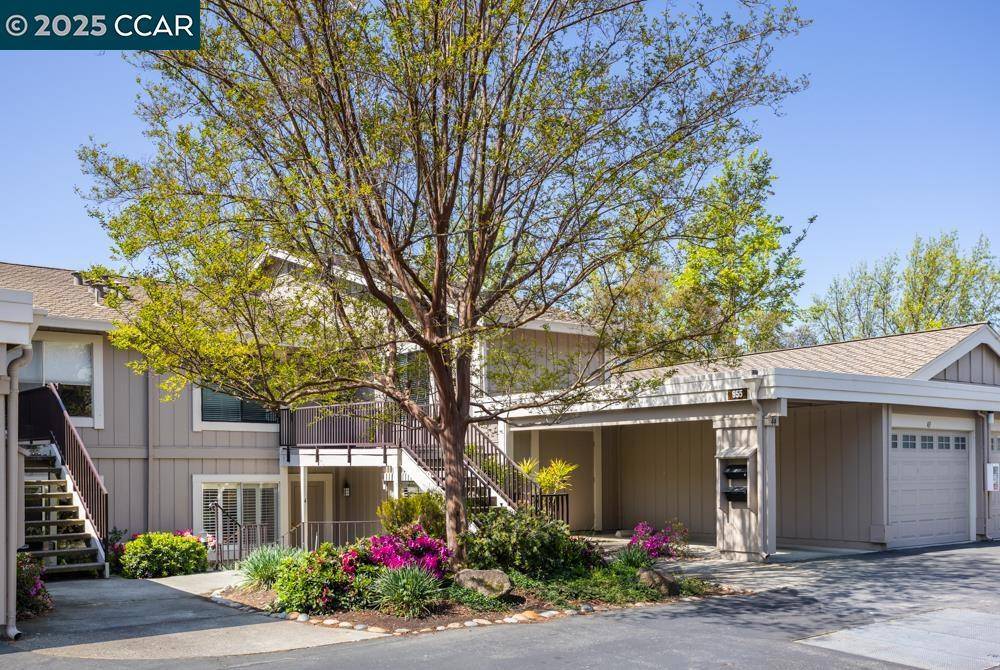 Walnut Creek, CA 94595,955 Terra California Dr #4