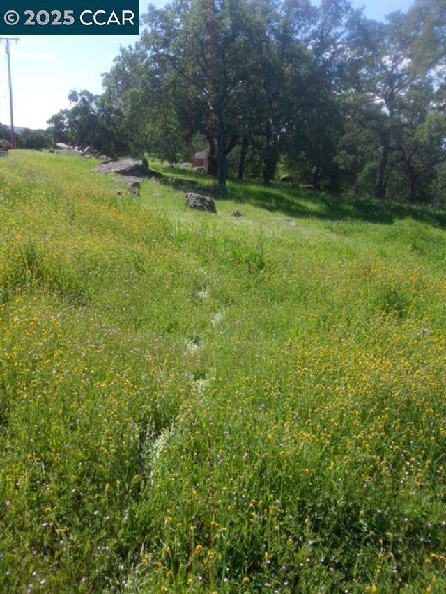 Browns Valley, CA 95918,56 Deer Hollow Trail