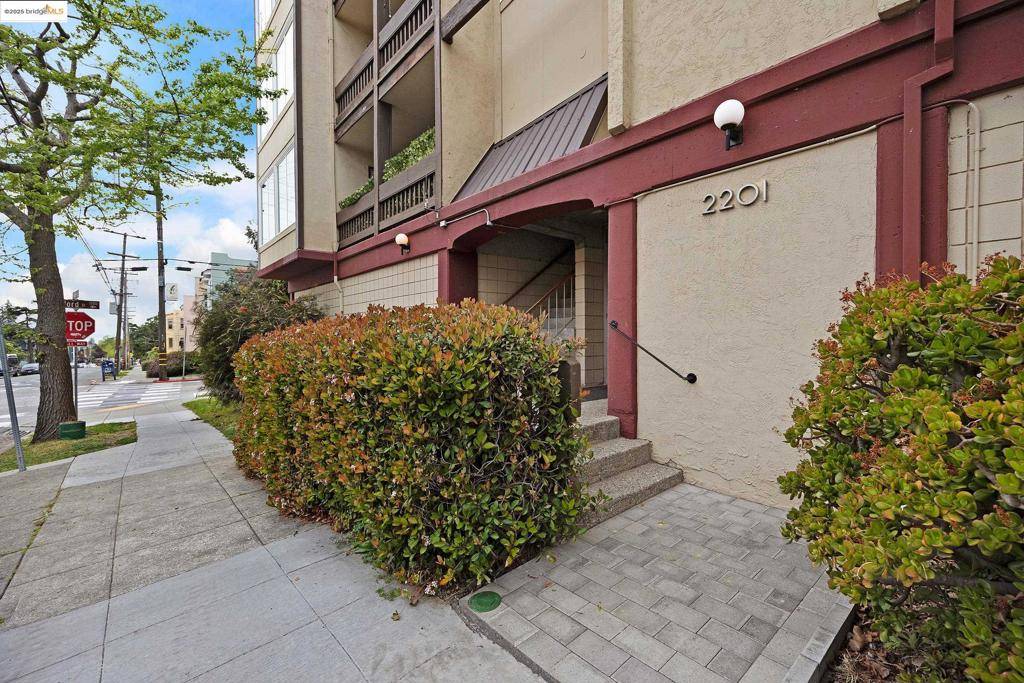 Berkeley, CA 94709-1643,2201 Virginia Street #006