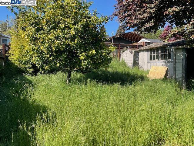 Kensington, CA 94707,1635 Oak View Ave