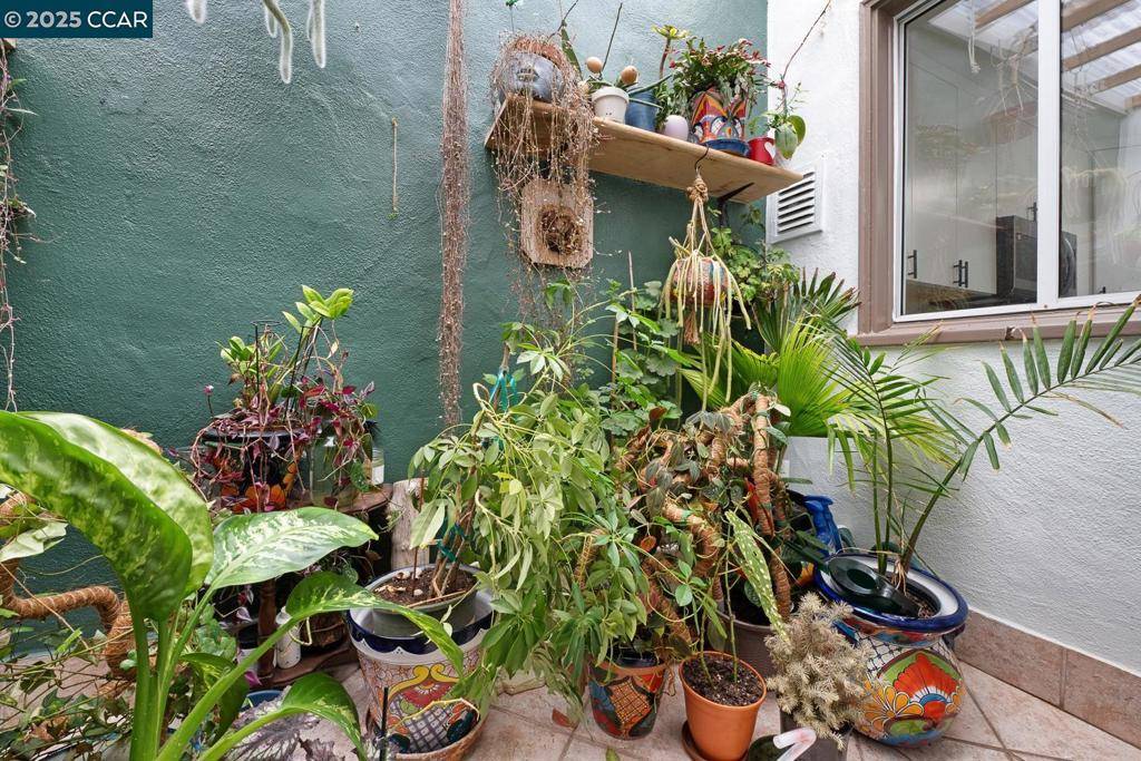 1923 28Th Ave San Francisco, CA 94116