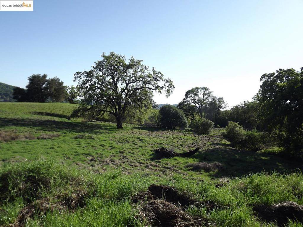 Cloverdale, CA 95425,39305 Pine Mountain RD