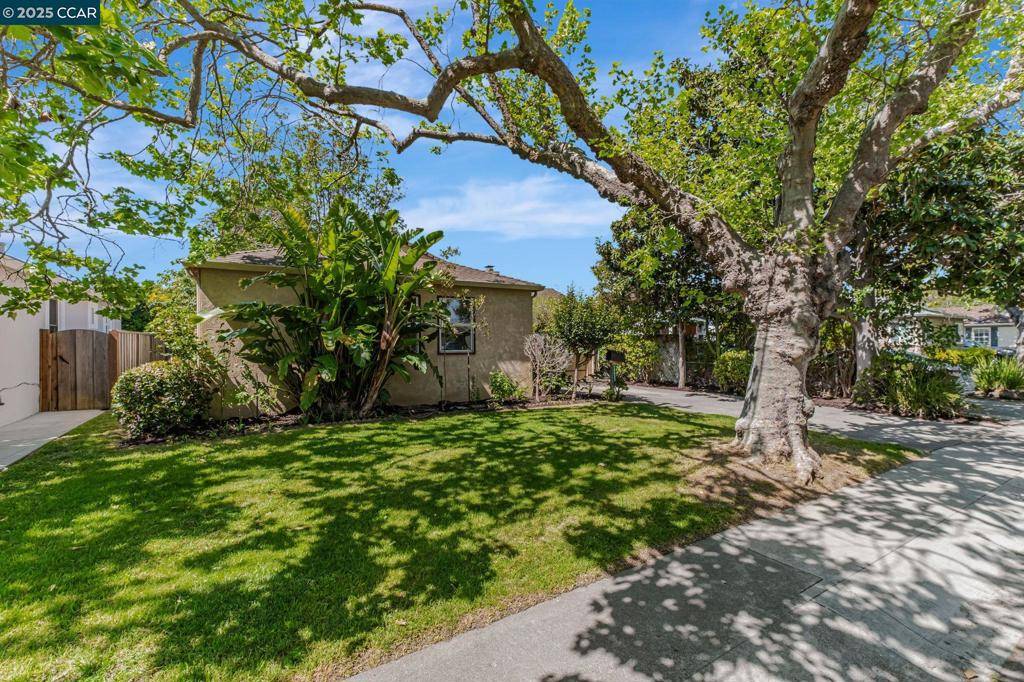 San Lorenzo, CA 94580,16033 Paseo Del Campo