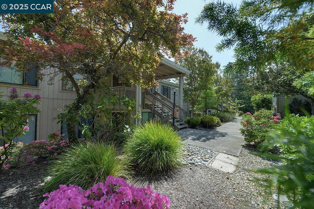 Walnut Creek, CA 94595,1300 Singingwood Ct. #3