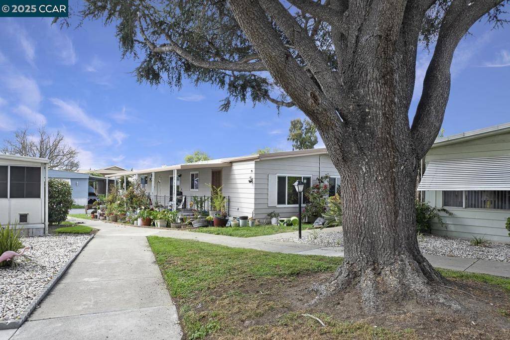 Concord, CA 94520-5419,2031 Dalis Drive