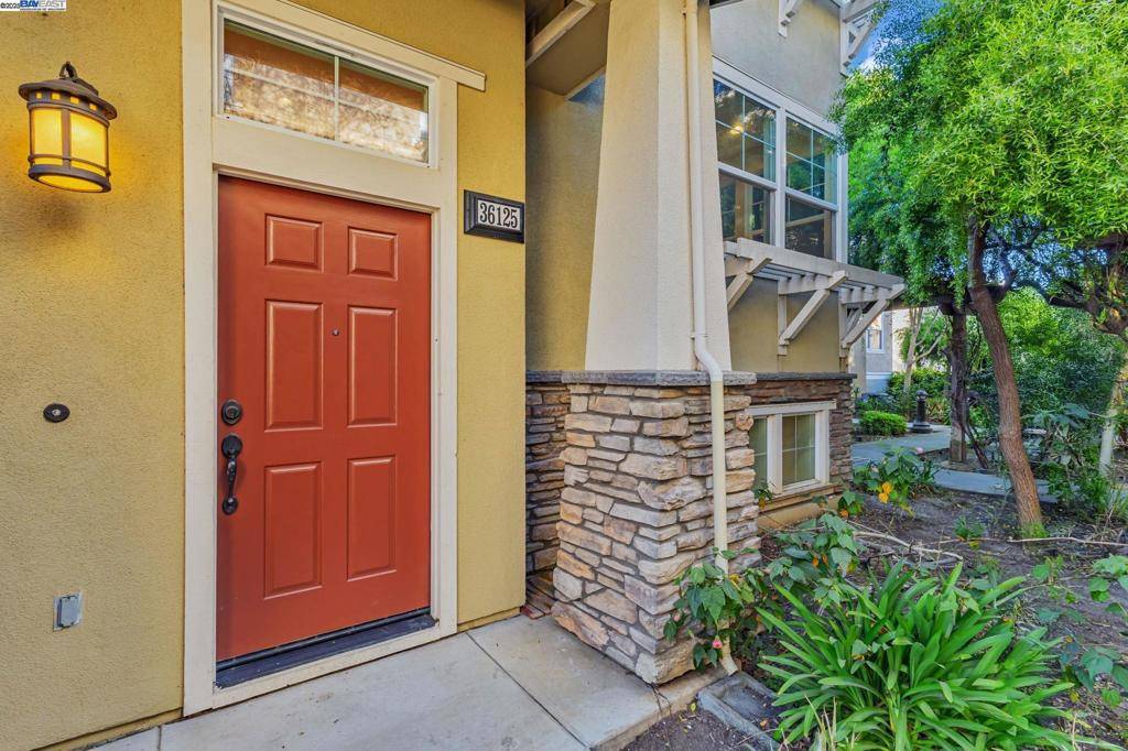 Fremont, CA 94536,36125 Soapberry Cmn