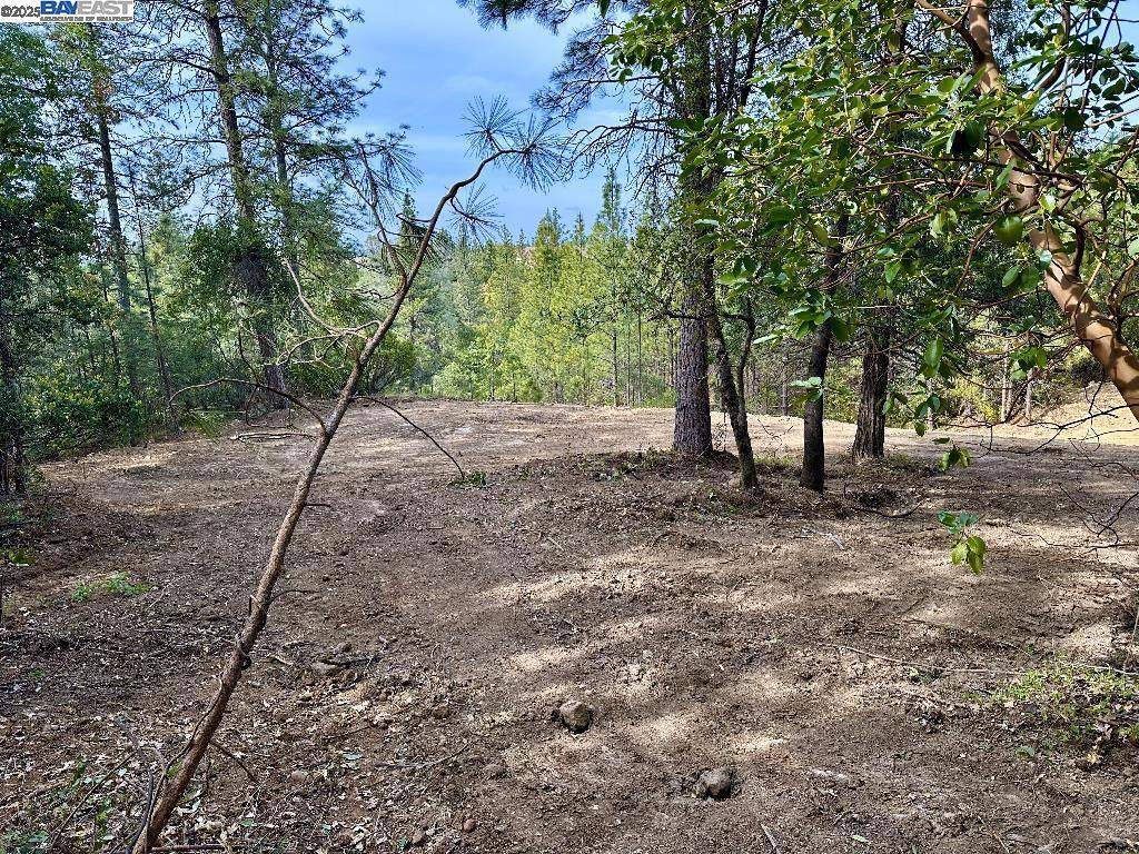 Placerville, CA 95667,0 Spanish Ravine Rd