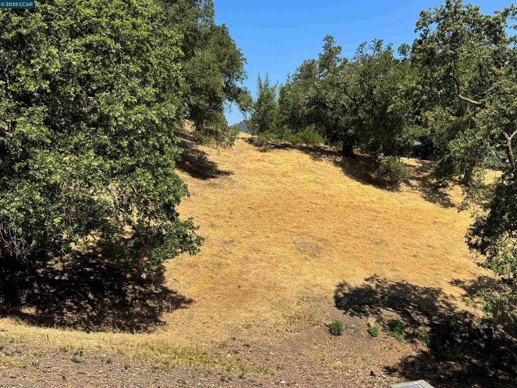 Lafayette, CA 94549-5117,18 Diablo Oaks Way