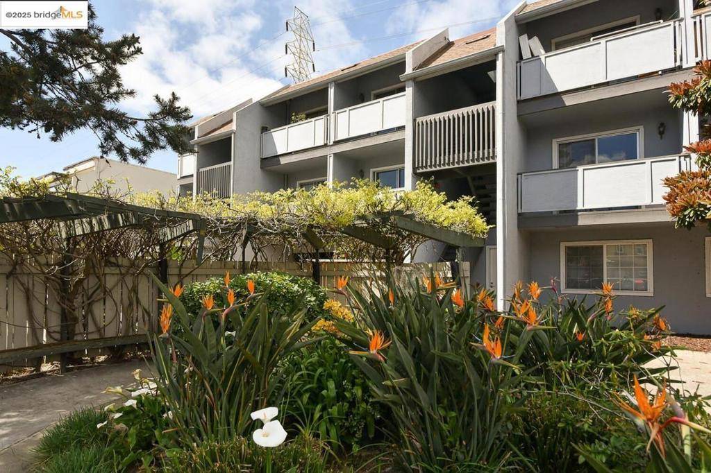 Mountain View, CA 94043,650 Alamo CT #9