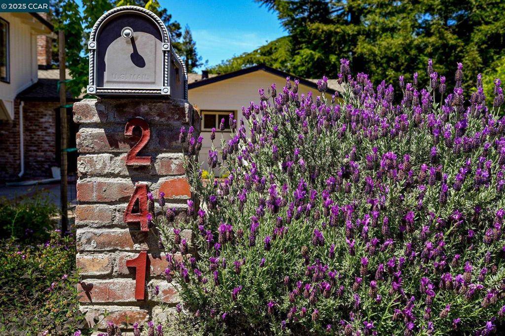 Walnut Creek, CA 94598,241 Lombardi Cir