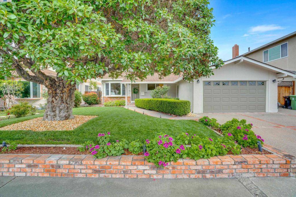 Fremont, CA 94536,5467 Borgia Rd