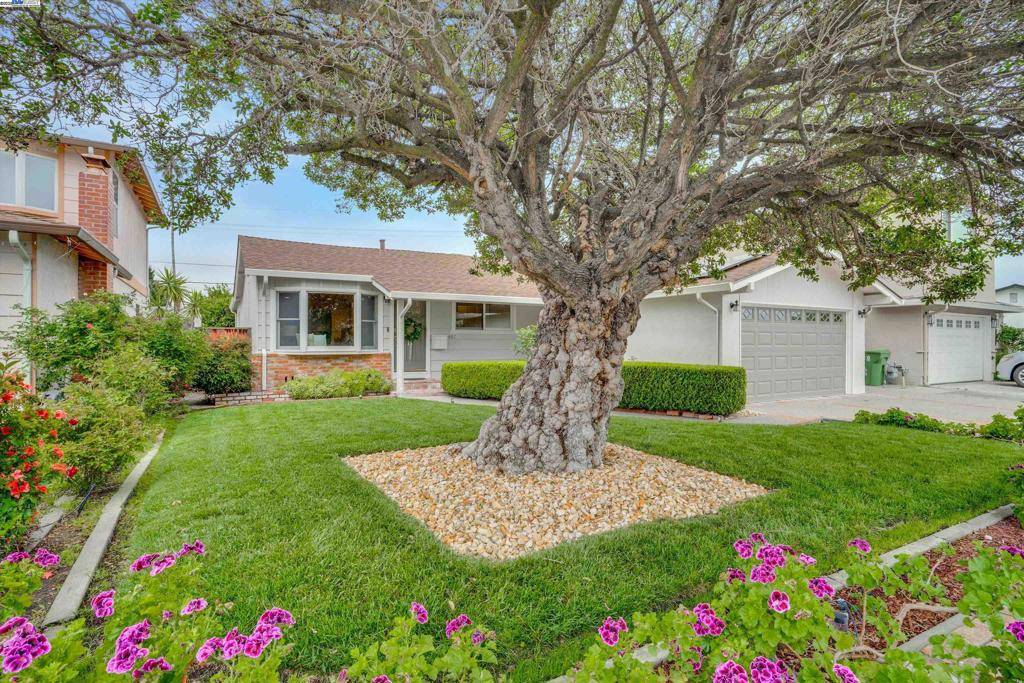 Fremont, CA 94538,5467 Borgia Rd