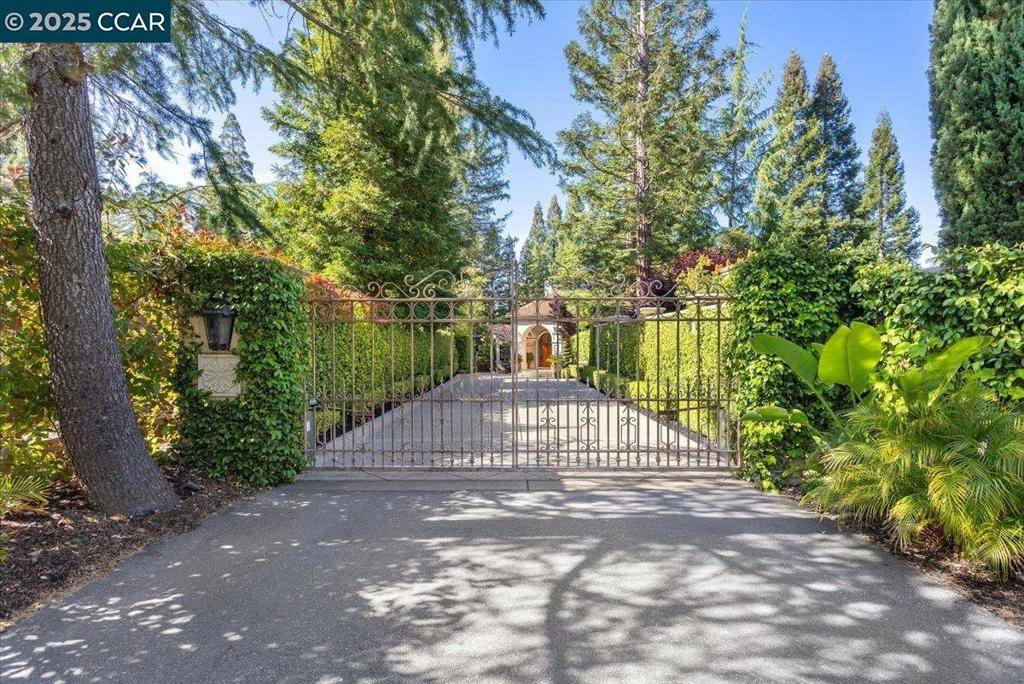 Alamo, CA 94507,172 East Ln