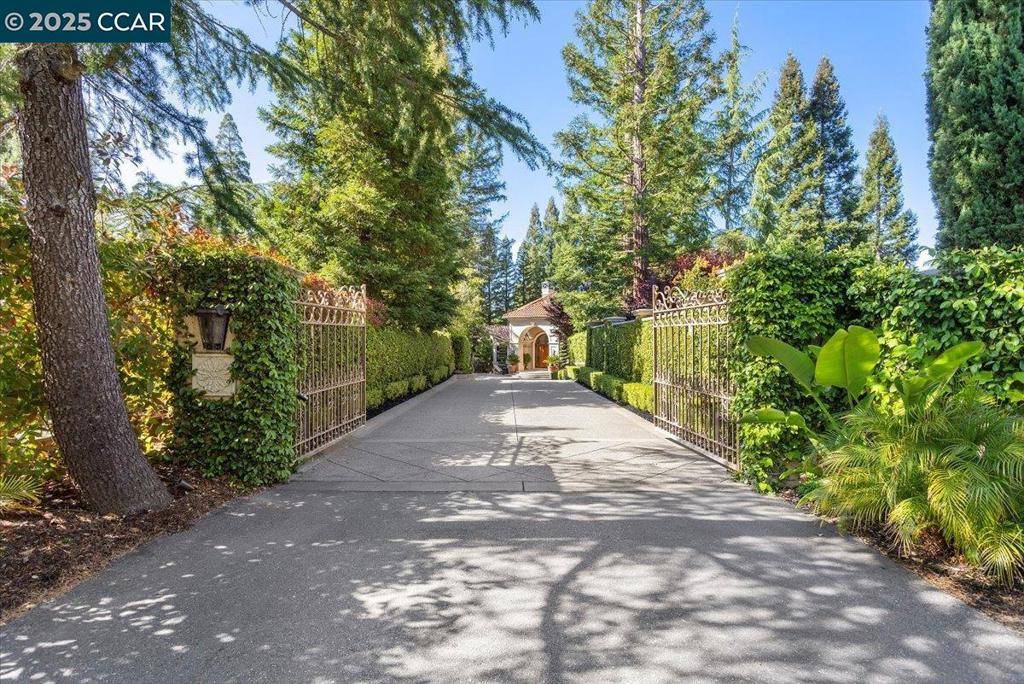 Alamo, CA 94507,172 East Ln