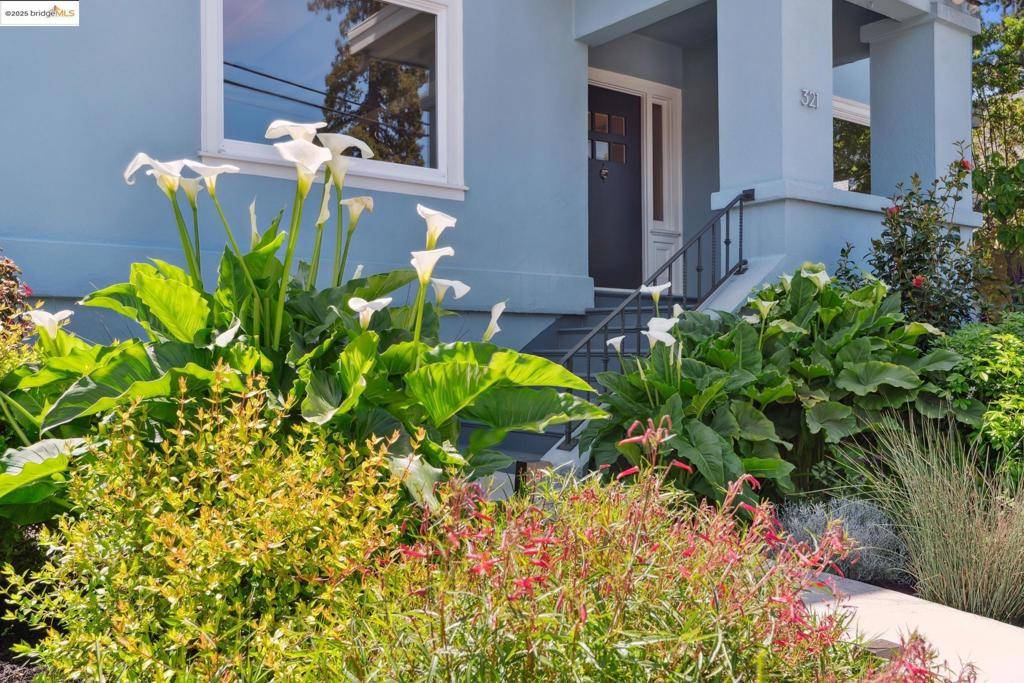Oakland, CA 94618,321 Glendale Ave.