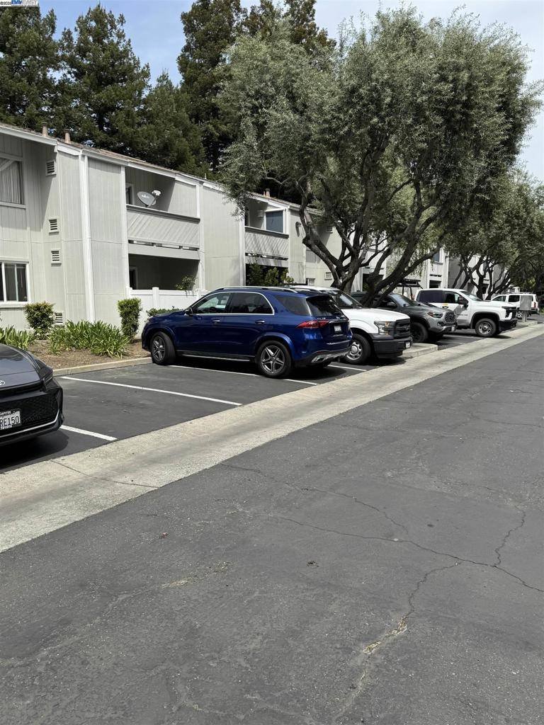 Fremont, CA 94538,38556 Mary Ter