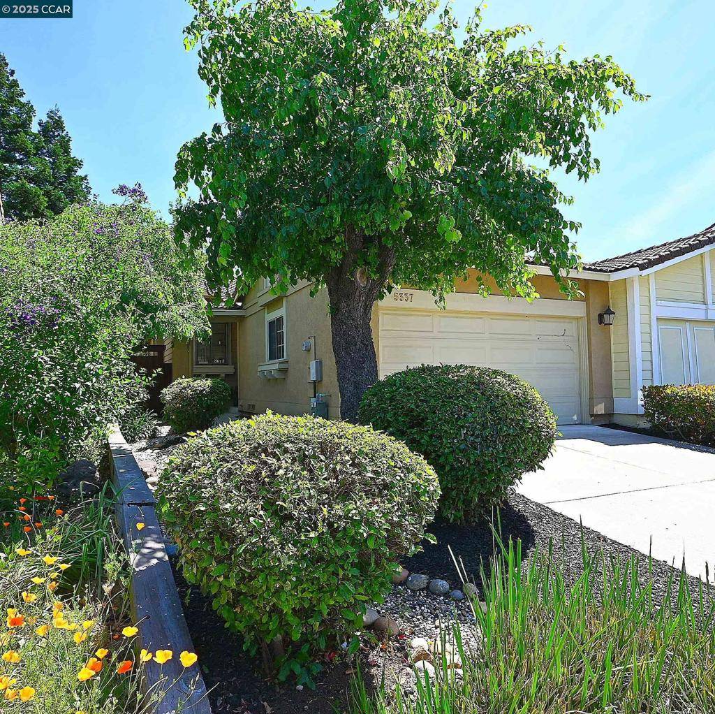 Concord, CA 94521,5337 Grasswood Circle