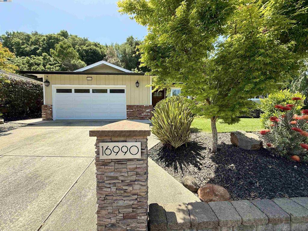 Castro Valley, CA 94546,16990 Grovenor Dr