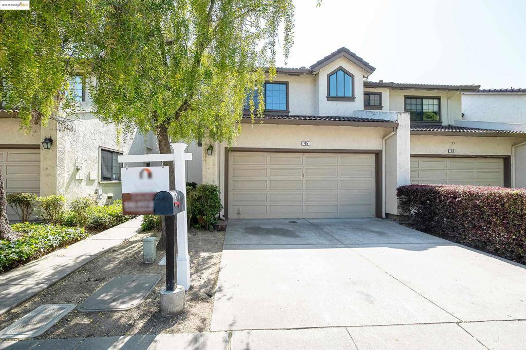 Fremont, CA 94536,45 Gazania Ter
