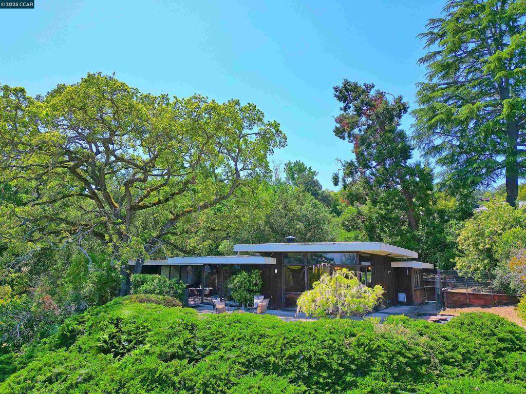 Walnut Creek, CA 94597,58 Terrace Road