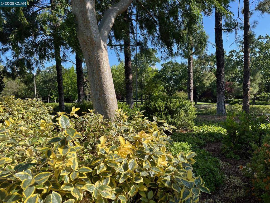 Walnut Creek, CA 94595-4966,1201 Golden Rain Road #2