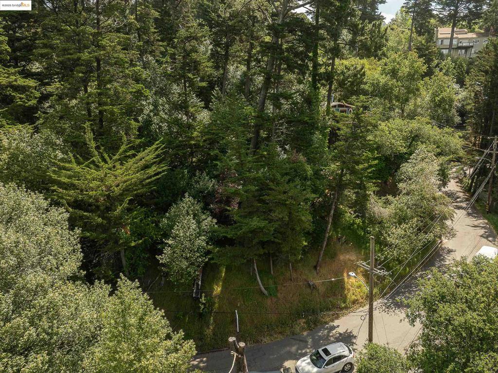 Oakland, CA 94611,0 Chelsea Dr