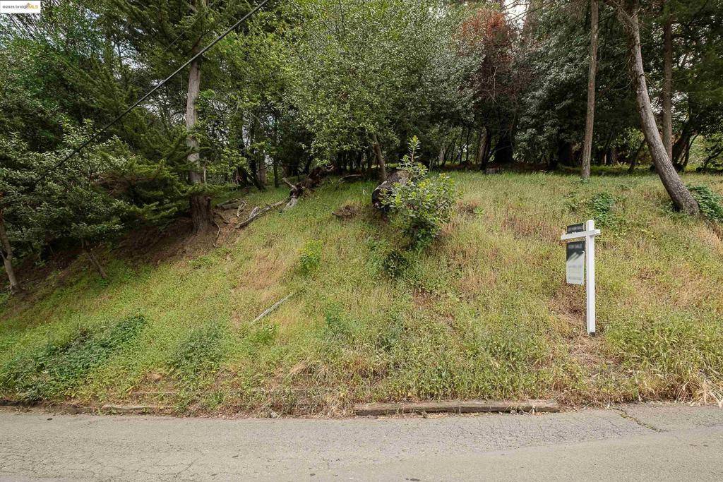 Oakland, CA 94611,0 Chelsea Dr