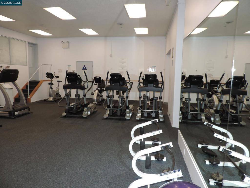 Walnut Creek, CA 94596,310 N Civic