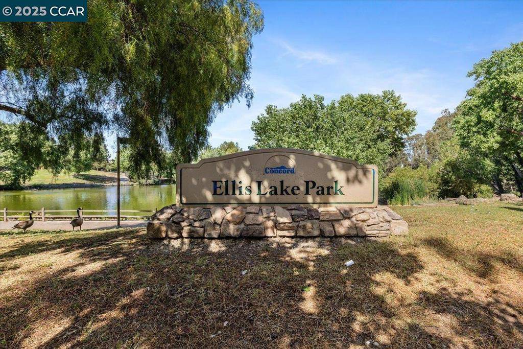 Concord, CA 94520,1790 Ellis St #17