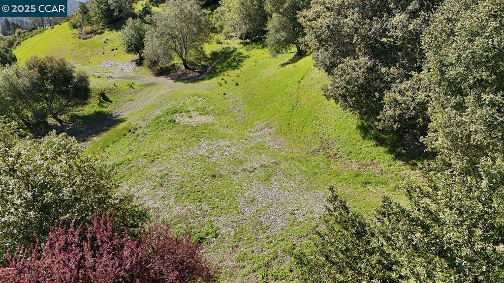 Moraga, CA 94556,7 Ashbrook Place