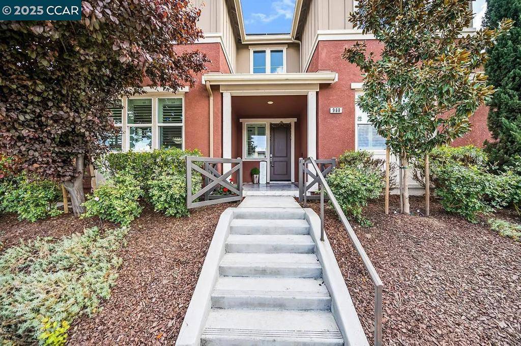 Livermore, CA 94550,988 Flurry