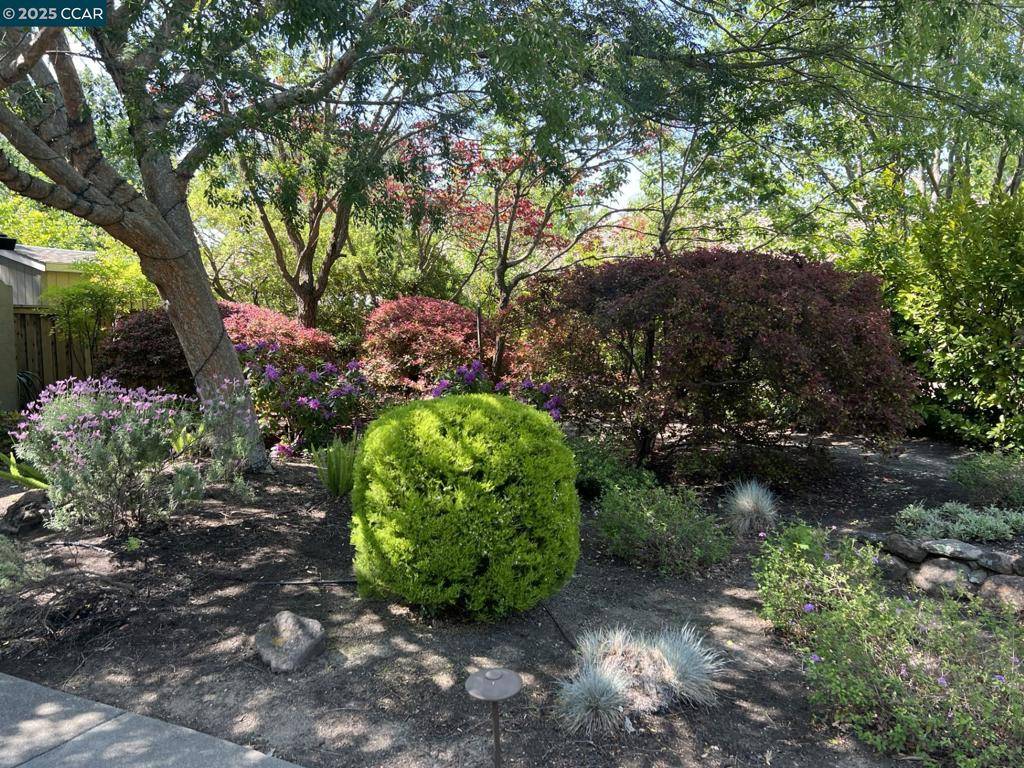 Walnut Creek, CA 94596,42 Horseshoe Ct