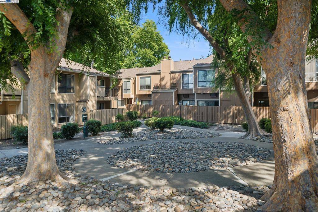 San Ramon, CA 94583,8985 Alcosta Blvd #159