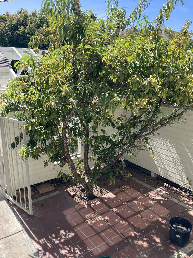 Sunnyvale, CA 94086,987 Belmont Ter