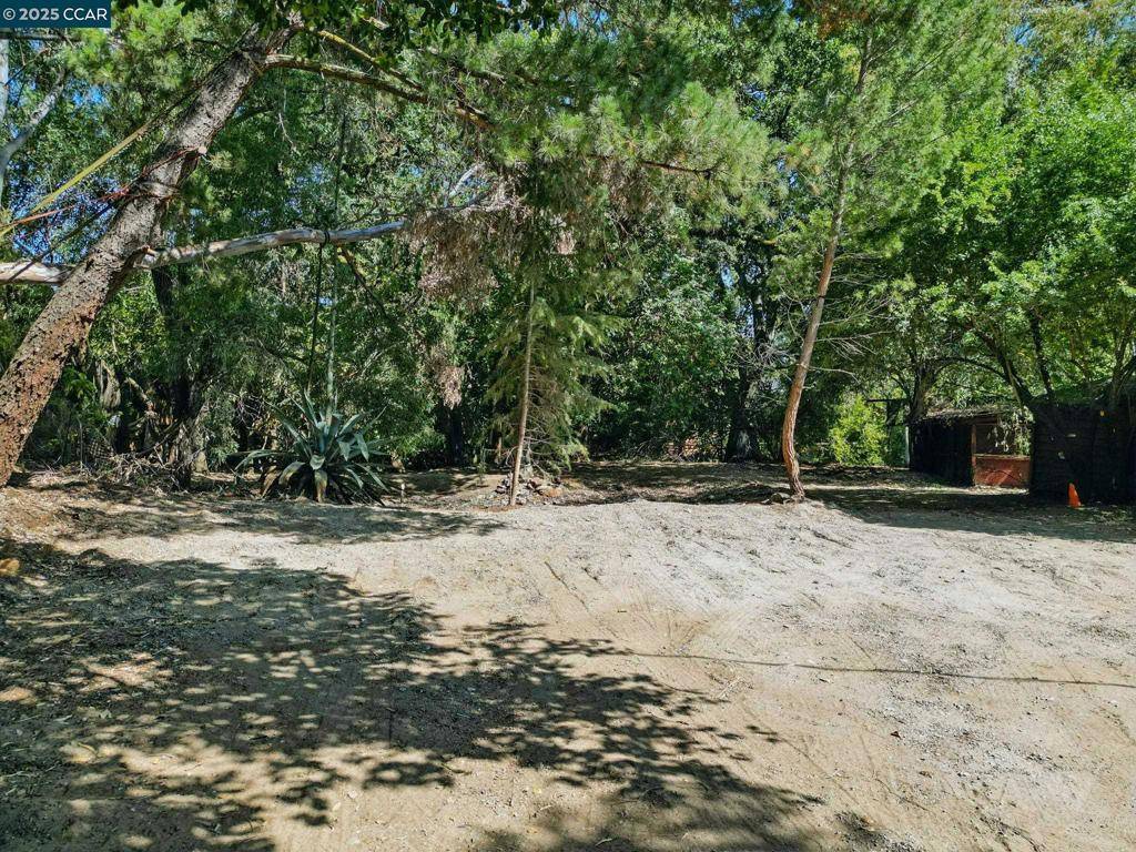 Walnut Creek, CA 94595,1491 Boulevard Way