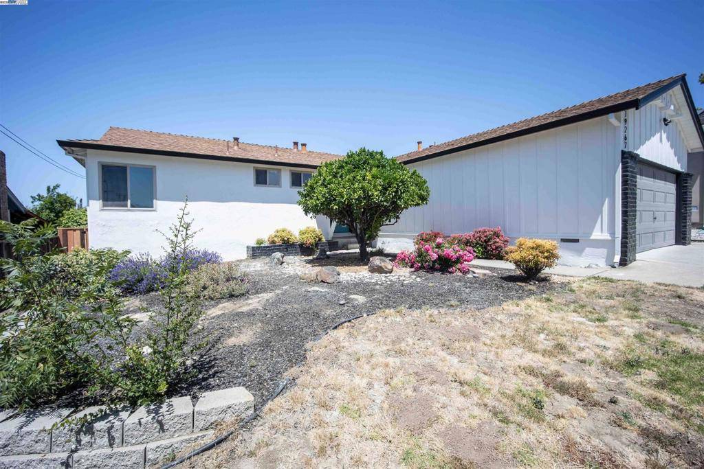 Castro Valley, CA 94546,19267 Gliddon St