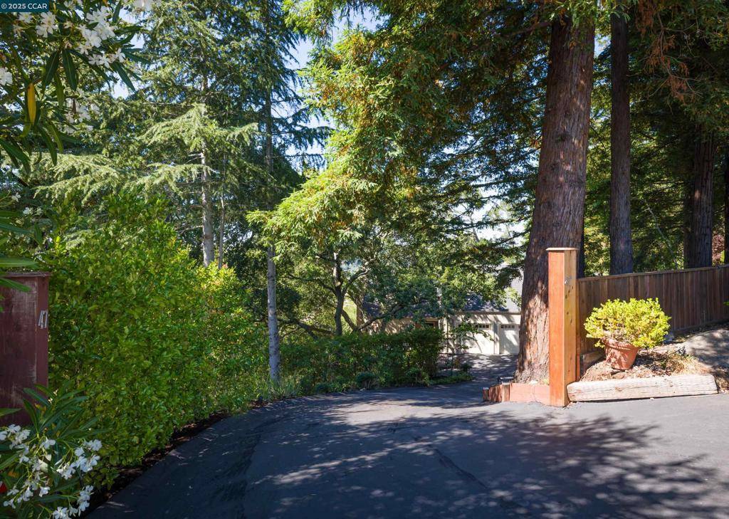 Orinda, CA 94563,47 El Gavilan Rd.