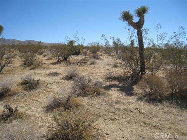 Apple Valley, CA 92307,0 APN 0435 311 55 0000 RD