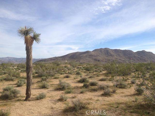 Joshua Tree, CA 92252,0 Outpost RD