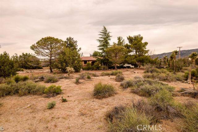 Pinon Hills, CA 92372,1711 Cholla RD