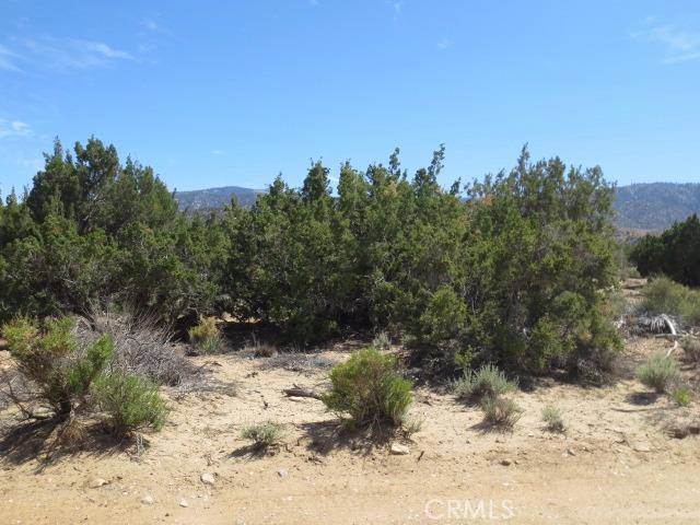 Pinon Hills, CA 92372,0 Silver Rock RD