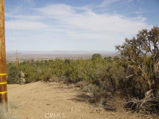 Pinon Hills, CA 92371,0 Hollister RD