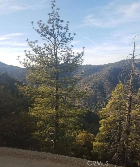 Tehachapi, CA 93561,0 ** Double Mtn ** West side