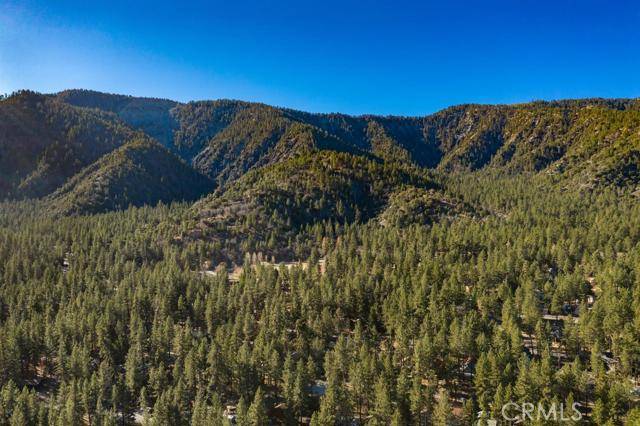 Wrightwood, CA 92397,1387 Betty ST