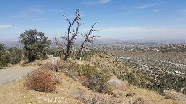 Pinon Hills, CA 92372,0 Scenic DR