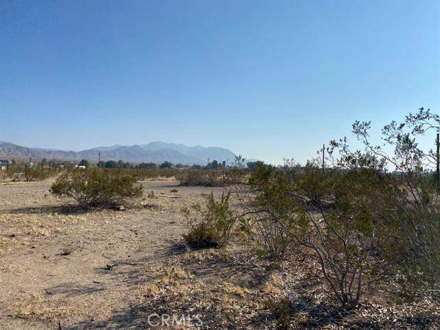 Yermo, CA 92398,37275 Ghost Town RD