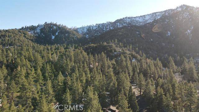 Wrightwood, CA 92397,5605 Lodgepole DR