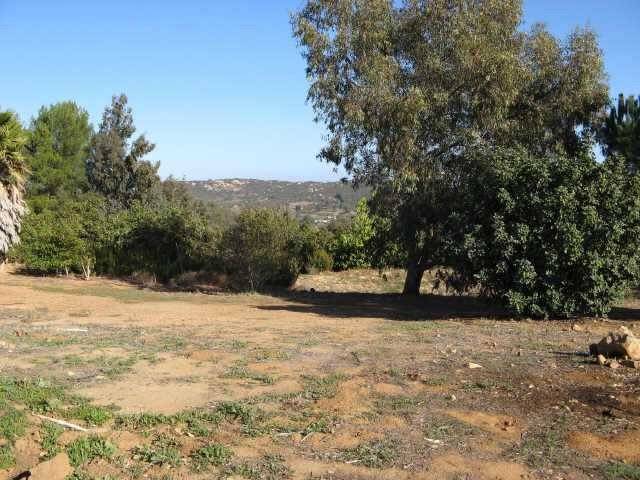 Fallbrook, CA 92028,TIERRA NUEVO