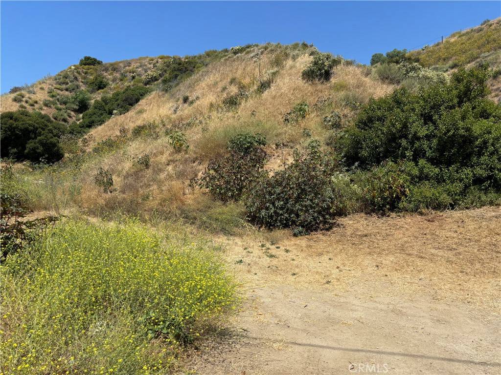 Sunland, CA 91040,0 Denivelle Rd